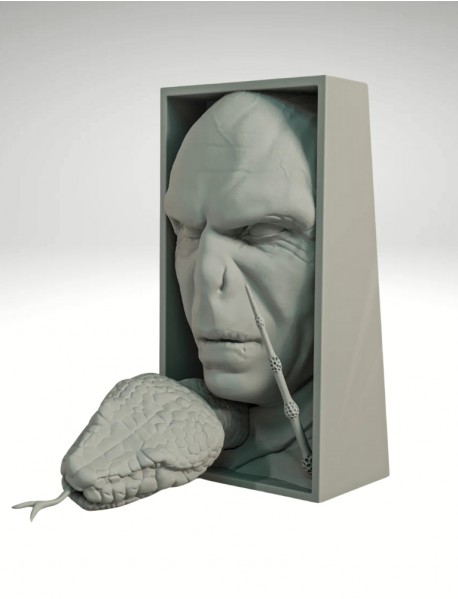 Voldemort Kitaplık Ayracı